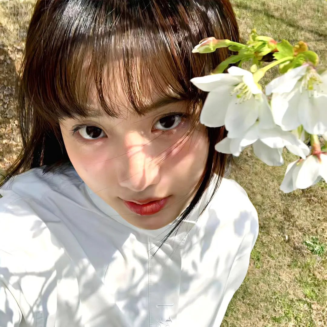 小莫莉大冒险